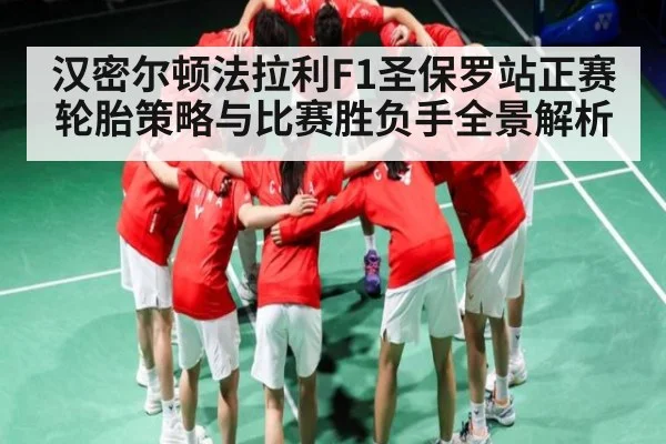 汉密尔顿法拉利F1圣保罗站正赛轮胎策略与比赛胜负手全景解析（kaiyu.com）