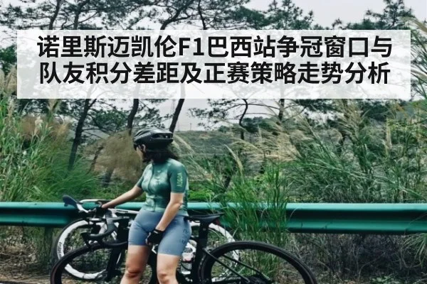 诺里斯迈凯伦F1巴西站争冠窗口与队友积分差距及正赛策略走势分析（kaiyu.com）